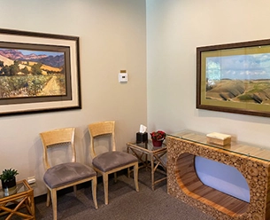Cozy Counseling Office with Chairs and Scenic Landscape Paintings
